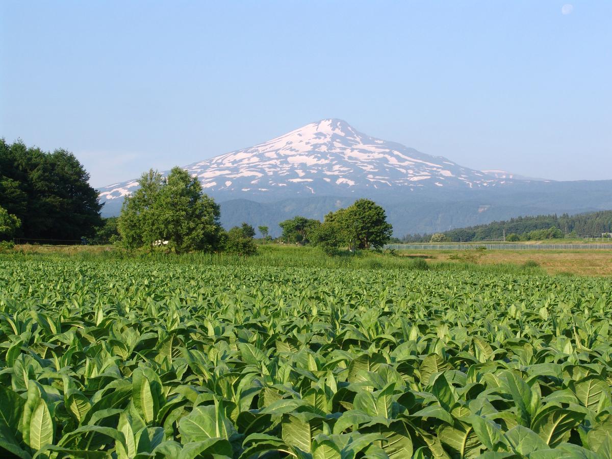 Chokai Sarukuraonsen Hotel Foresta Chokai Yurihonjo Buitenkant foto