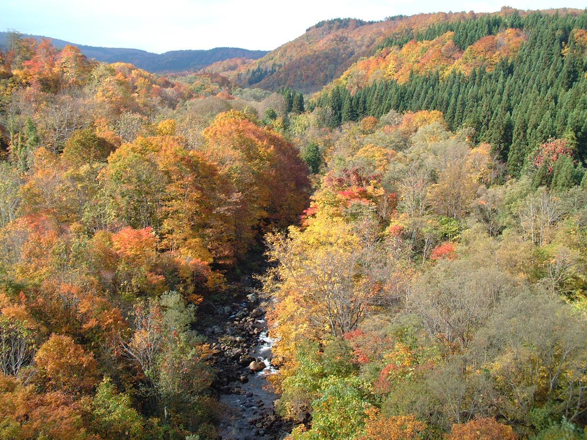 Chokai Sarukuraonsen Hotel Foresta Chokai Yurihonjo Buitenkant foto